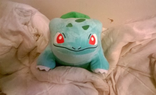 materassassino: @shelgon My Bulbasaur says hi! I think he wants to go to bed, it’s late.