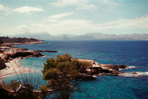 [manel - al mar! playing in the background]mallorca, maig 2019kodak ektar 100, kodak gold 200, kodak