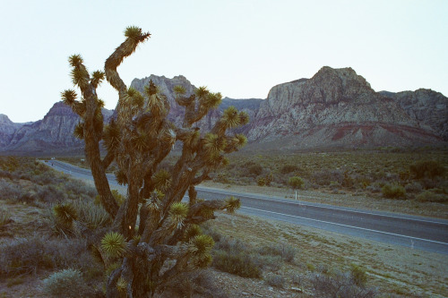 Dusk at Red Rock Canyon, Nevada