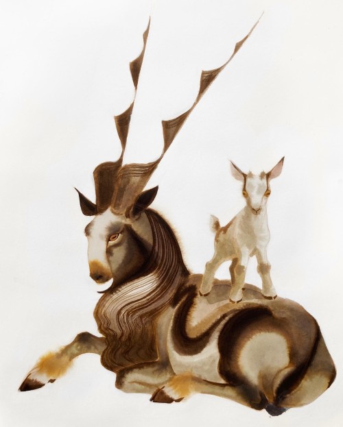 photozoi: thecollectibles:Art by Camille AndreThese are wonderful!