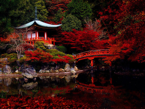 dreams-of-japan:sanctuary by M. TANIGUCHI on Flickr.