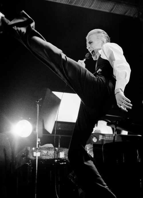 sweet-king-bitch:The Thin White Duke ‘76