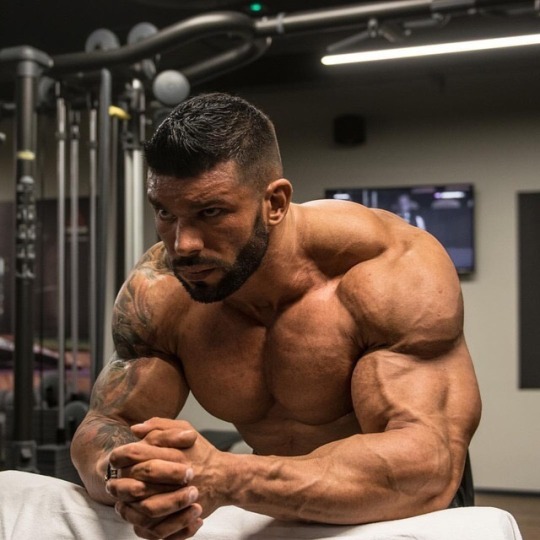 musclecorps:  
