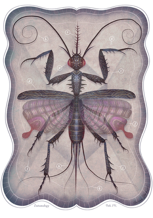 just-art:  vladmir stankovic 