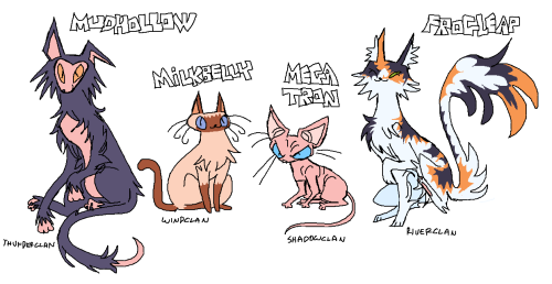 warrior cats ocs!!!!! 4 rogues who were previously from all diff clans but met at gatherings as appr