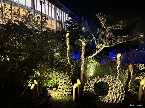 Princess Kaguya's Glowing Garden In Sakuramachi Kumamoto (かぐや姫の光る庭)
