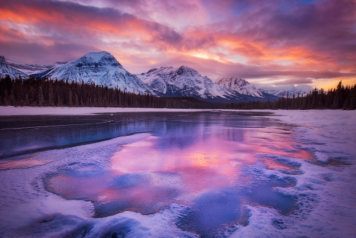 nubbsgalore: pretty in pink. photos by (clic pic) chip phillips and marc adamus. (see