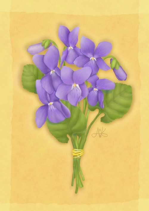 sweet violets for my mum