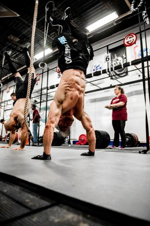 Chris Wren