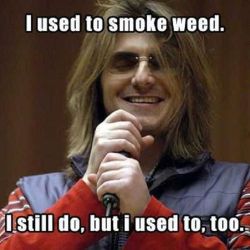 mrgreenlegalize:  dammm i don’t know if its cuz im really high but i laughed so hard when i read this. blazing! 