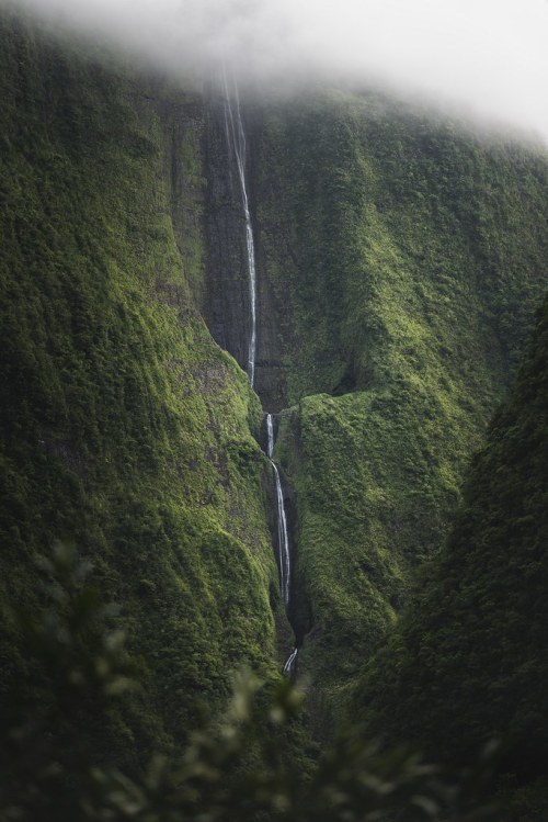 satakentia:  White waterfallRéunion Island, France by David Parenteau