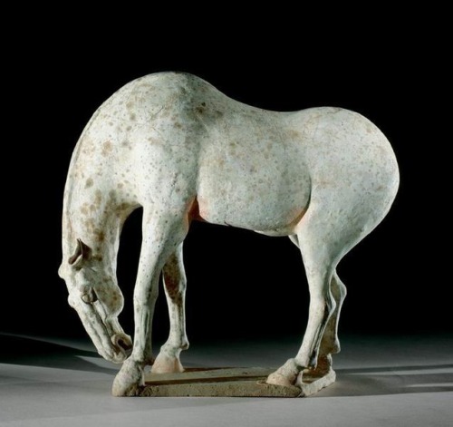 expecttheunexpectedtoday: expecttheunexpectedtoday AD 618-907 - Chinese Tang Dynasty Pottery Horse