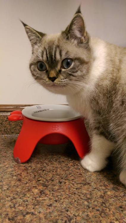awwww-cute:  So much happiness in her face. Kind of an evil happiness, but still. It’s happiness
