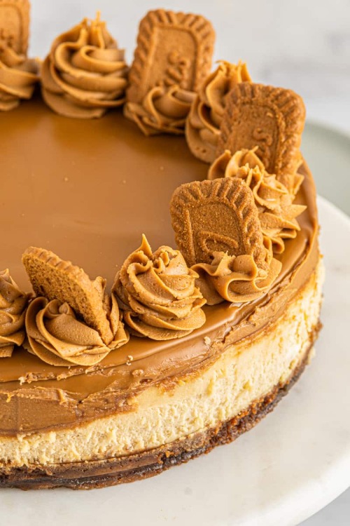 daily-deliciousness:  Biscoff cheesecake