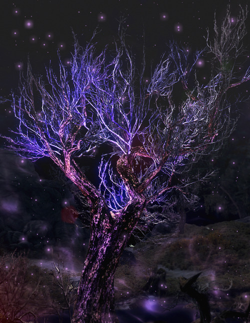 nirnroot