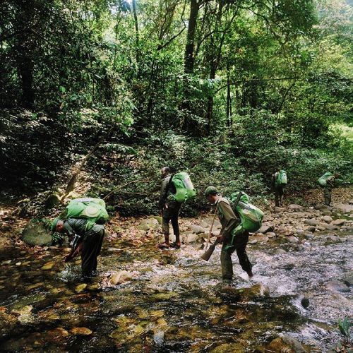 Anti-poaching rangers with the Nigerian National Park Service begin moving camp during a week-long patrol inside of the Oban region of the Cross Rivers National Park in Nigeria.
The rangers, with assistance from @thewcs, are working to protect the...