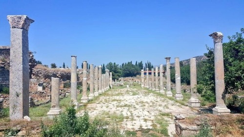 ancientpix:A Street in the Aphrodisias City. The city of goddess of beauty(Aphrodite), was an import