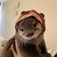 srtaotter
