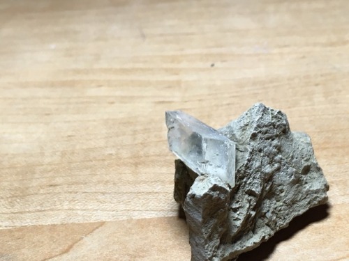 cc-da-wolf:One of the crystals popped out of the clay, but the other didn’t and it’s now a display s