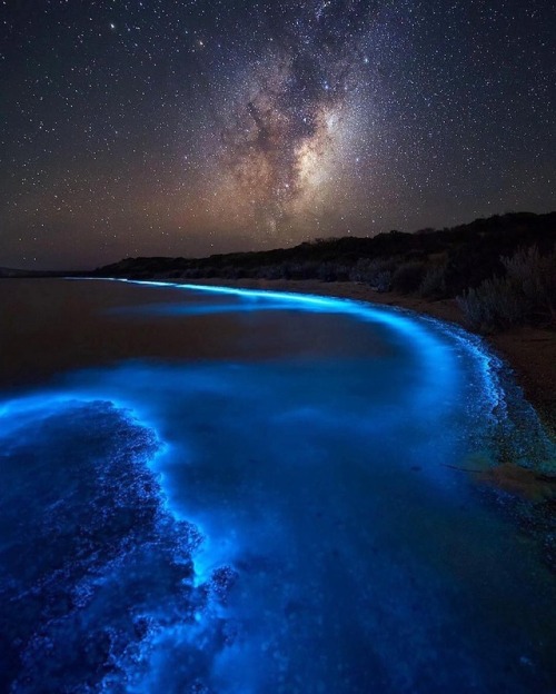 wanderloco:   Living Light under the Milky Way  Tasmania  | james.garlick