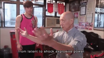 realanimetraining:  buddhist-martial-way:Basic Principles of Southern Mantis Kung