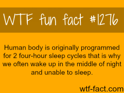 wtf-fun-facts:  YOU MEAN TO TELL ME IT’S