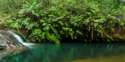 oceaniatropics:  Magdala Creek cascades, Gembrook, NSW, Australia