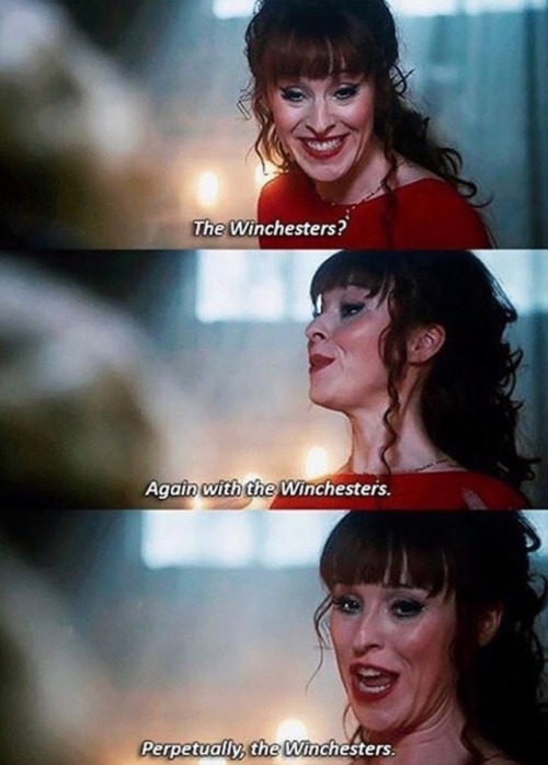 carryon–my–wayward–butt:  This is the show in a nutshell. Also it’s my life in a nutshell.