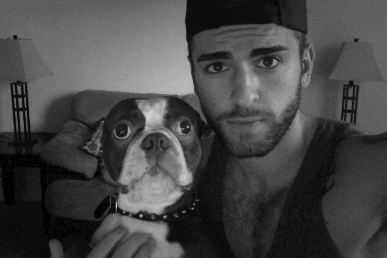 menandtheirdogs:  Hi my names Louie and I love ripping up papers when my daddies
