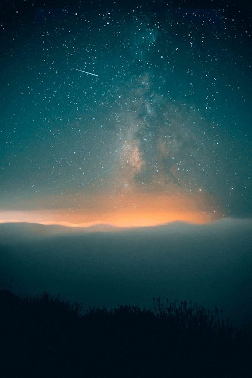 Unbridled Awakenings