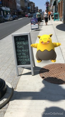 korota37:  bestofpokemongo:  The sign lied