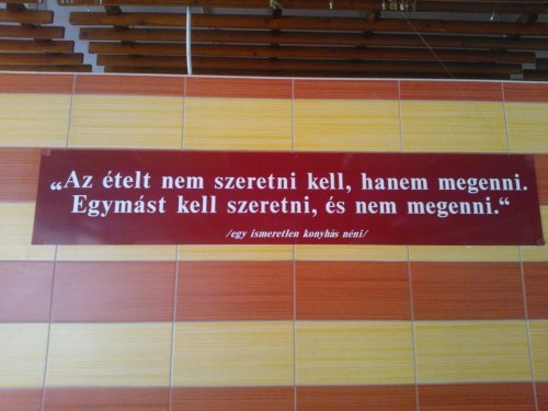 hamegfordulaszelbeverzikatudonk:  életet olvastam 