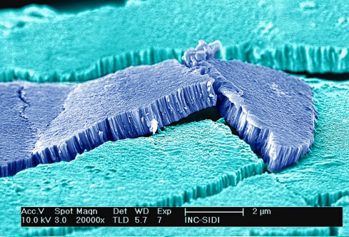 Solar thaw | FEI Company The image shows the fracture of molybdenum thin film grown on a p