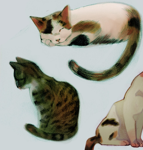 andreavasquezart: cats