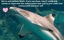 fempeach:  rooks-and-ravens:  niente-dal:  anti-anxiety shark loves you and hopes you feel okay today  This also applies to all “reblog or you are a horrible person and I am judging you 5ever” comments.  thank u shark 