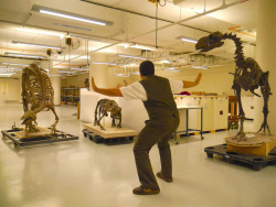 tastefullyoffensive:  The Smithsonian’s take on #PrattKeeping.