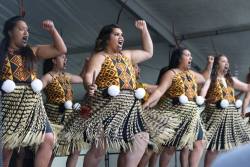 apihtawikosisan:  hemaoriahau:  Tū Te Maungaroa-