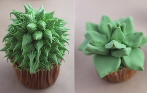 Porn photo thecupcakemaniac:  Cacti Cupcakes 