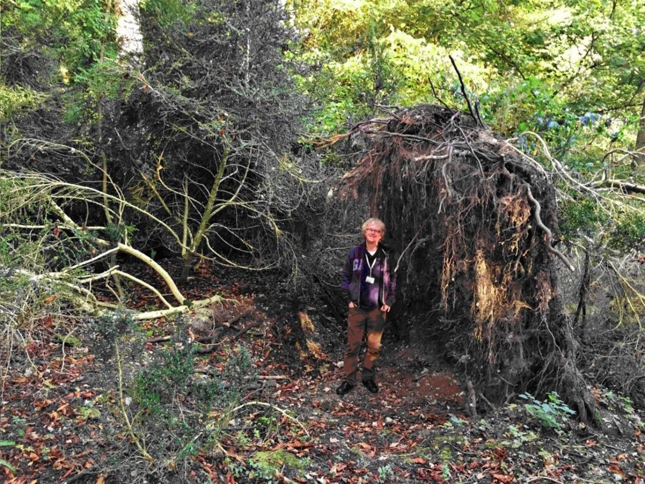 Prehistoric 'eco-house' 1,300 years older than Stonehenge discovered