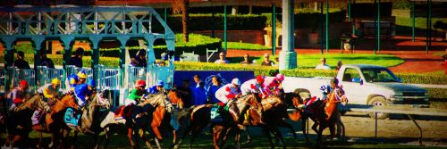 Breeders’ Cup Distaff 2013