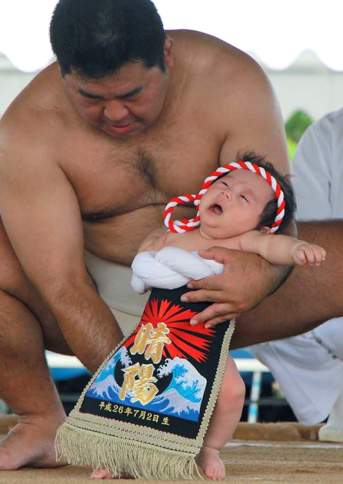 稚児土俵入り - 古仁屋, 瀬戸内, 奄美大島, 鹿児島Baby sumo ring debut ceremony - Koniya, Setouchi, Amami Ōshima, Kagoshim