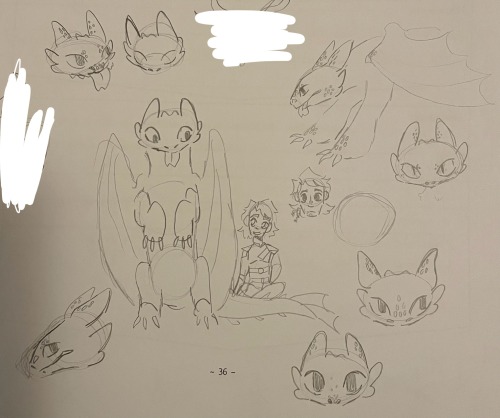 Hiccup And Toothless Fanart
