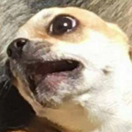 penbrydd: yourplayersaidwhat:  space-australians:  drferox:  clintfbarton:  hiddlescheekbones: