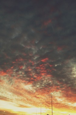 joel:  sunset @ willowbrook mall 