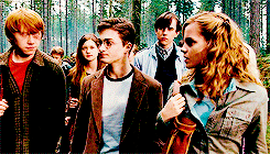 leiaorrgana:  Harry hadn’t counted on this; he had meant them to understand that