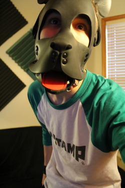 pupbrewstr:  pupkom:  Felt like bein’ a rowdy punk pup today! &gt;:3c woofwoof!  Aroooooo!!!!! Let’s play! 