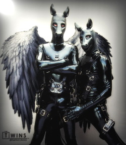 Latex-Saddle-Ponies:  Do Not Fear What May Flutter In The Darkness. For It May Be