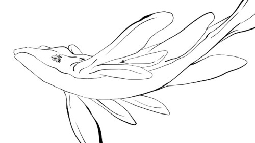 The Tsahik And Oloeyktan Of The Deep Sea People ( I Used A Base Of This, Im Not Good At Drawing)