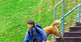 animations-daily:Air Bud (1997)