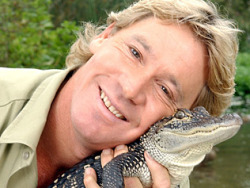 one-man-drinking-gamess:  Do you ever just stop and think: “I really miss Steve Irwin”   